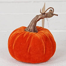 Load image into Gallery viewer, Orange Velvet Pumpkin with Golden Stem