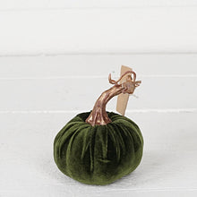 Load image into Gallery viewer, Green Velvet Pumpkin with Golden Stem | 4"