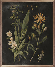 Load image into Gallery viewer, Vintage Cream Floral Print Black