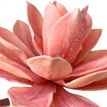 Load image into Gallery viewer, EVA Foam Lotus Blossom Spray - Coral 29.5"