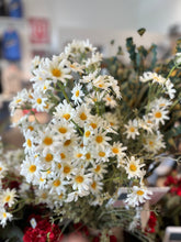 Load image into Gallery viewer, Daisies Pick