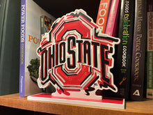Load image into Gallery viewer, The Ohio State University Standee by Justin Patten