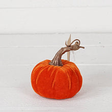 Load image into Gallery viewer, Orange Velvet Pumpkin with Golden Stem
