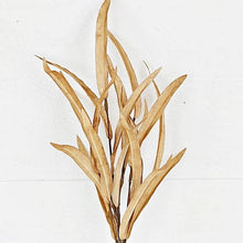 Load image into Gallery viewer, Willow Leaves Pick | 18"