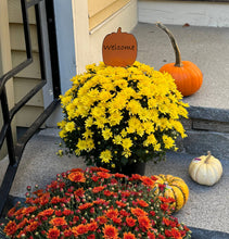 Load image into Gallery viewer, 14" Iron Fall Harvest To Personalize Figures Picks, 3 Asst