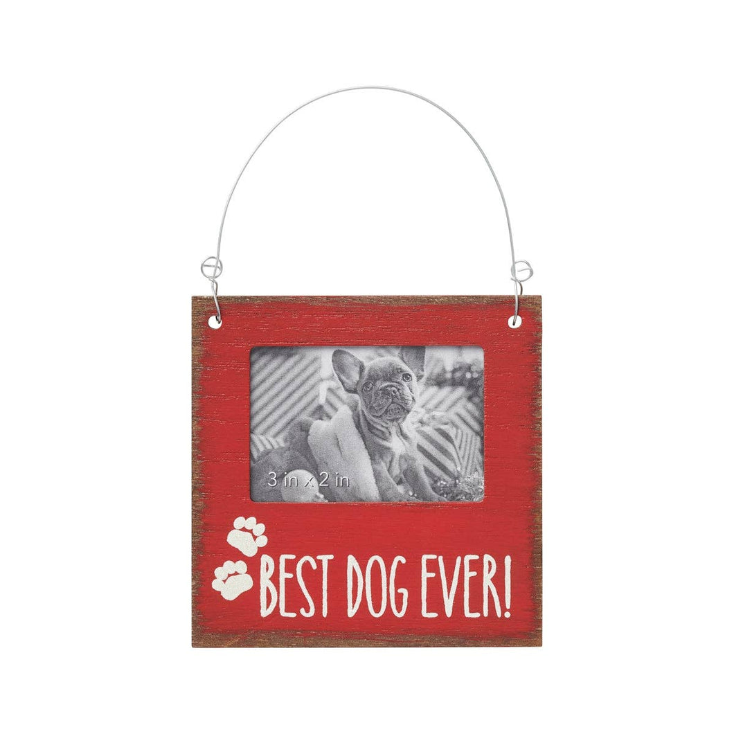 Best Dog Christmas Photo Ornament