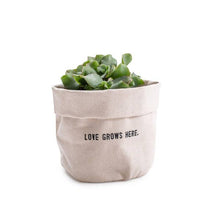 Load image into Gallery viewer, ***Love Grows Here - Small Canvas Planter
