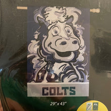 Load image into Gallery viewer, Indianapolis Colts Mascot House Flag 29&quot; x 43&quot; by Justin Patten
