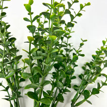 Load image into Gallery viewer, Mini Eucalyptus Bush - Two Tone/Green 14&quot;
