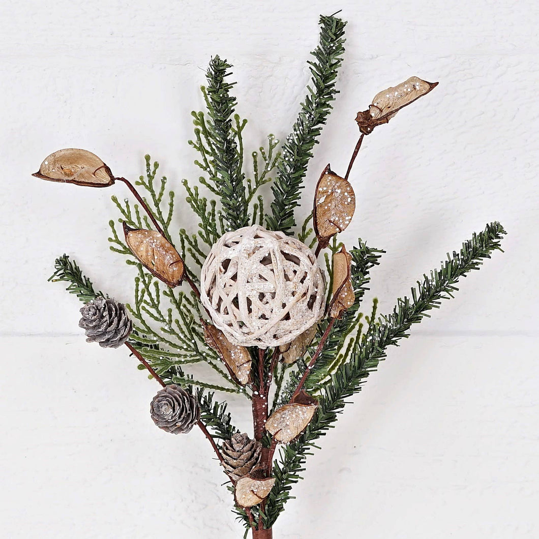 Mix Pines W/ Rattan Ball andBirch Cones