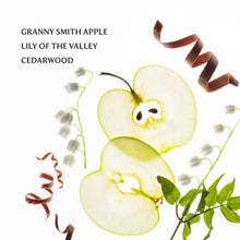 Load image into Gallery viewer, Applelicious Power Mist Hydrating Hand Sanitizer
