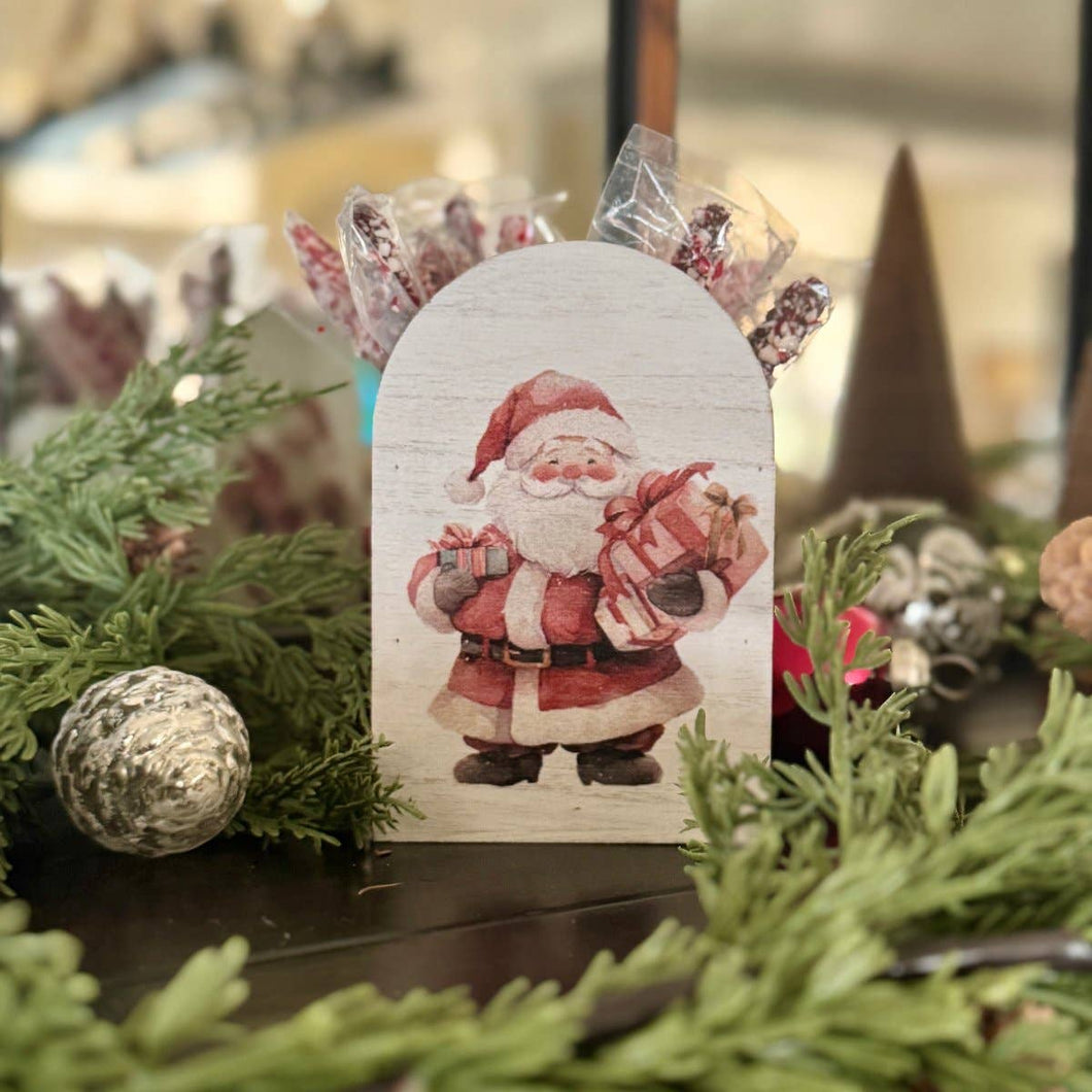 Santa Christmas Container