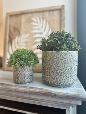 Grey ceramic planter with etched succulent design. Indoor use only, no drainage hole. 5.5x5.5x4.9in (shown) or 3x3x2.75in. Perfect for small plants.