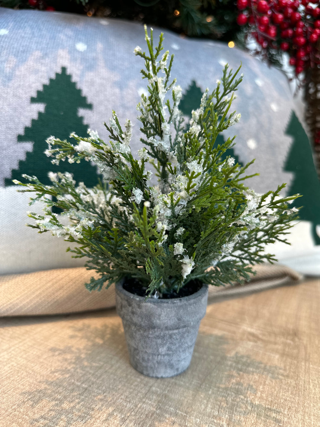 A small, 8.5-inch potted icy cedar tree with green branches and a dusting of glittery ice crystals. It sits in a weathered gray pot. 