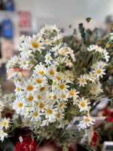 Load image into Gallery viewer, Daisies Pick

