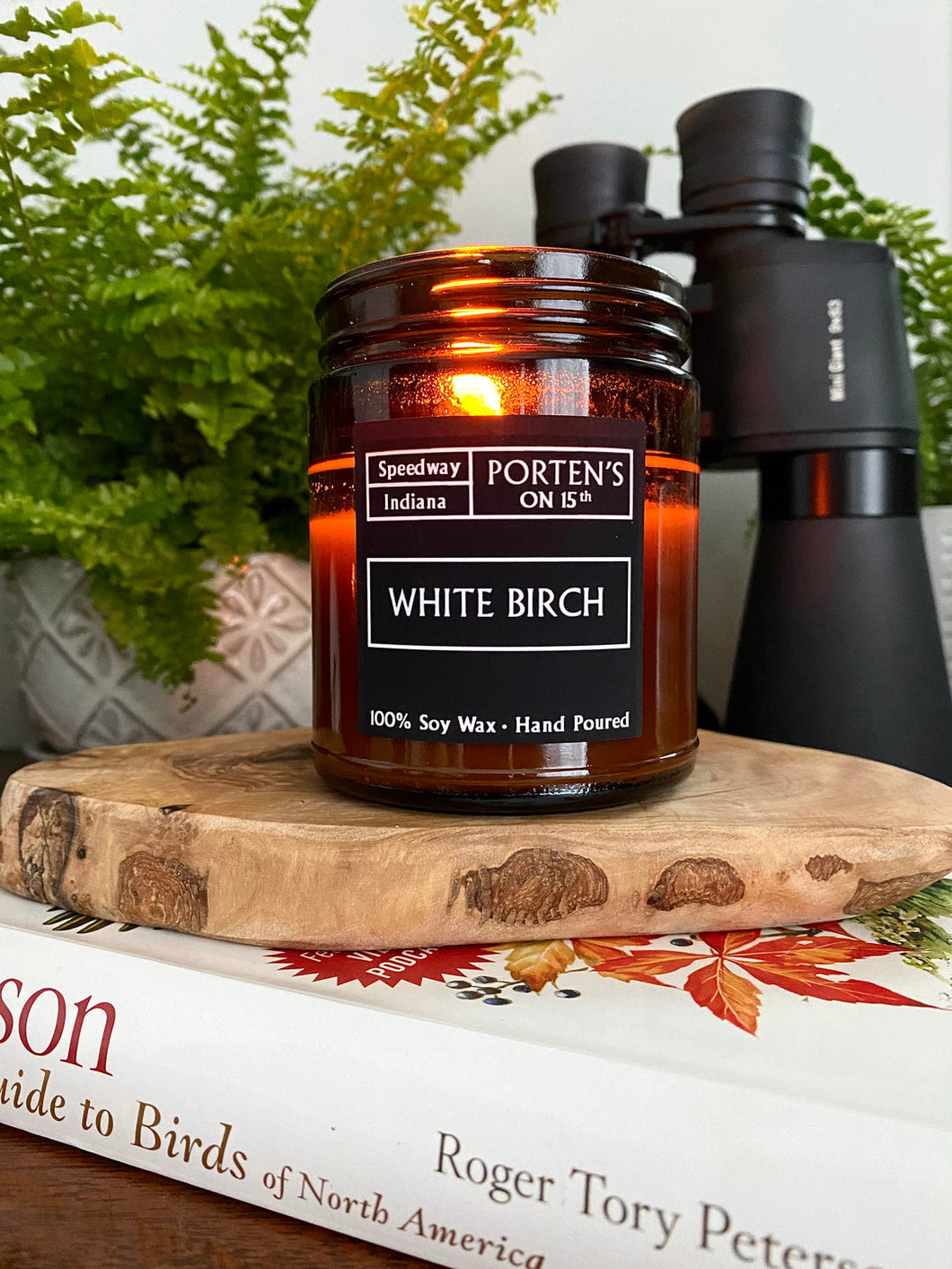 White Birch Scented Candle | 7.5 oz Soy Wax