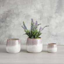 Load image into Gallery viewer, Lavender Pot | 3 Sizes
