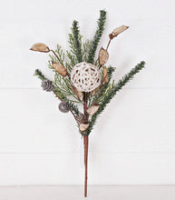 Load image into Gallery viewer, Mix Pines W/ Rattan Ball andBirch Cones
