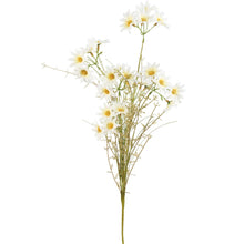 Load image into Gallery viewer, Daisies Pick
