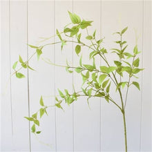 Load image into Gallery viewer, 46” Clematis Leaf Spray - Light Green
