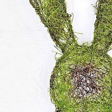 Load image into Gallery viewer, close up of moss bunny wreath
