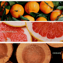 Load image into Gallery viewer, All Over Hearts 12 oz Soy Candle
