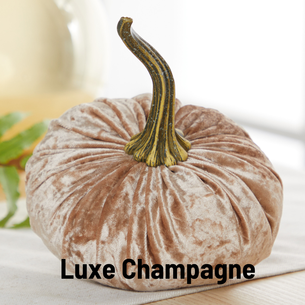 Handmade Velvet Pumpkin | Luxe Champagne | 2 Sizes