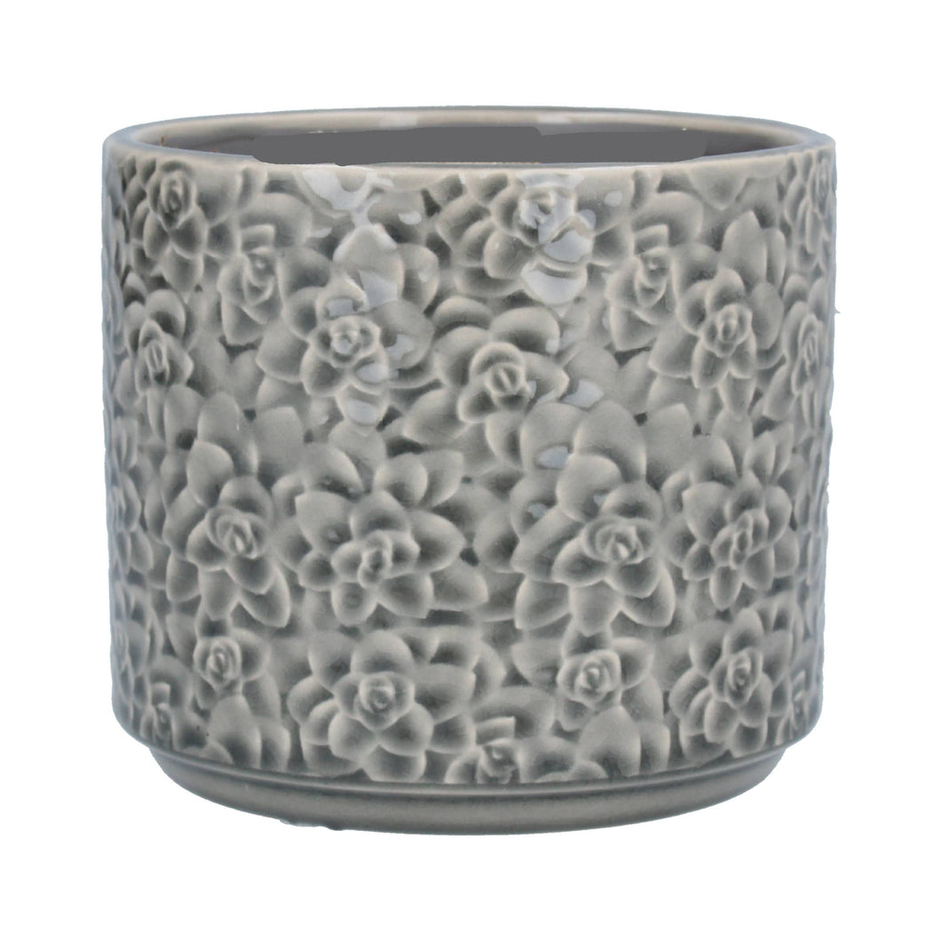 Elegant ceramic planter: Grey with etched succulents. Indoor use only, no drainage. Available in 5.5x5.5x4.9in (pictured) or 3x3x2.75in. Perfect for small succulents, cacti, or air plants.