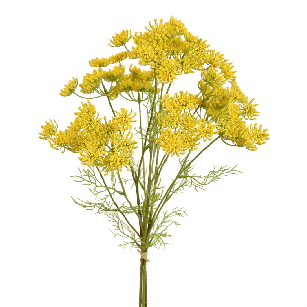 24” Queen Anne's Lace Bundle x 3 - Yellow